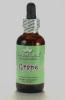 Stevia - Grape